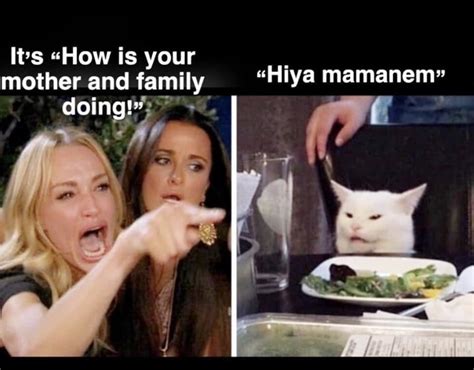 cat lady day meme|lady screaming at cat meme.